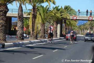 Carreras de caballo de las fiestas de San Juan 2018 de Telde (Foto Francisco Javier Santana)
